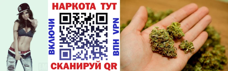 Где купить наркотики Майкоп Канабис  A PVP  Псилоцибиновые грибы  ГАШ 