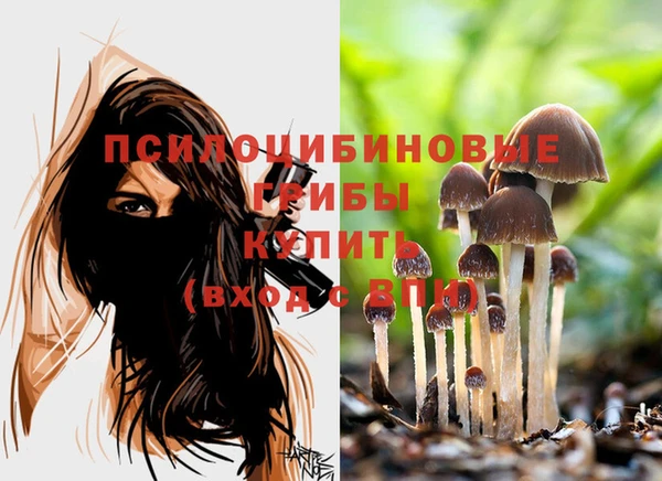 прущие крисы Алексеевка