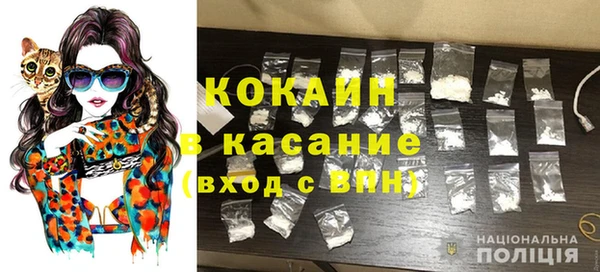 прущие грибы Алексин