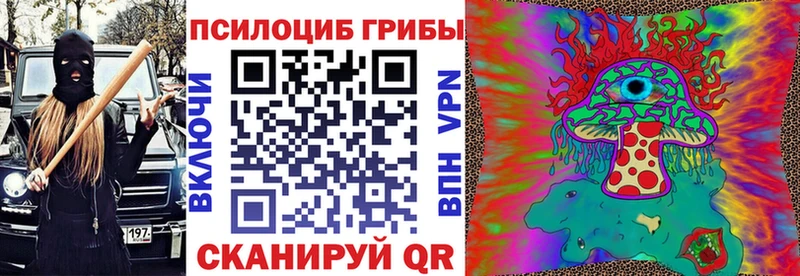 как найти закладки  Майкоп  Псилоцибиновые грибы Psilocybe 