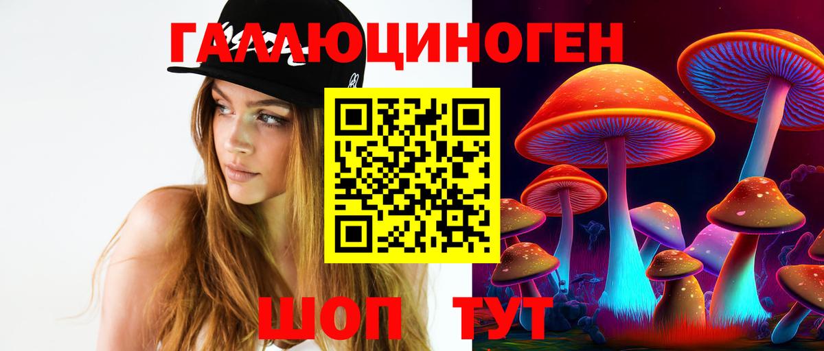 Галлюциногенные грибы мицелий Майкоп